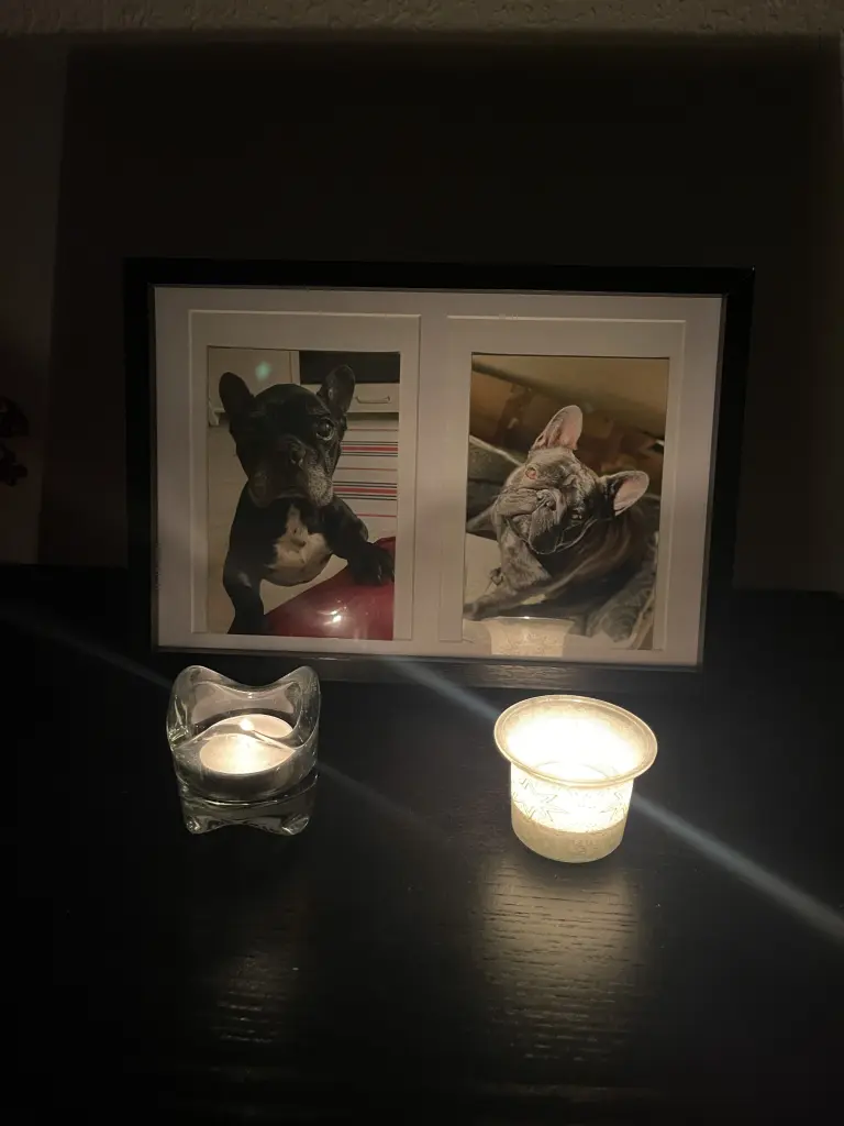 Condolence image of Unbekannt