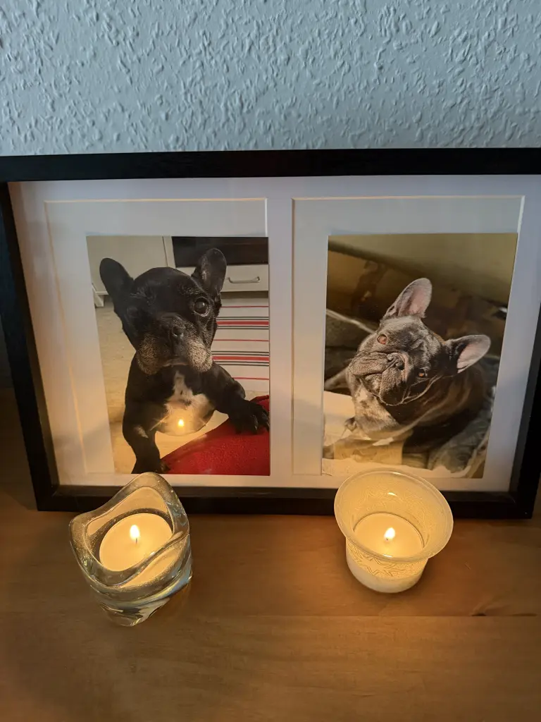 Condolence image of Jessica