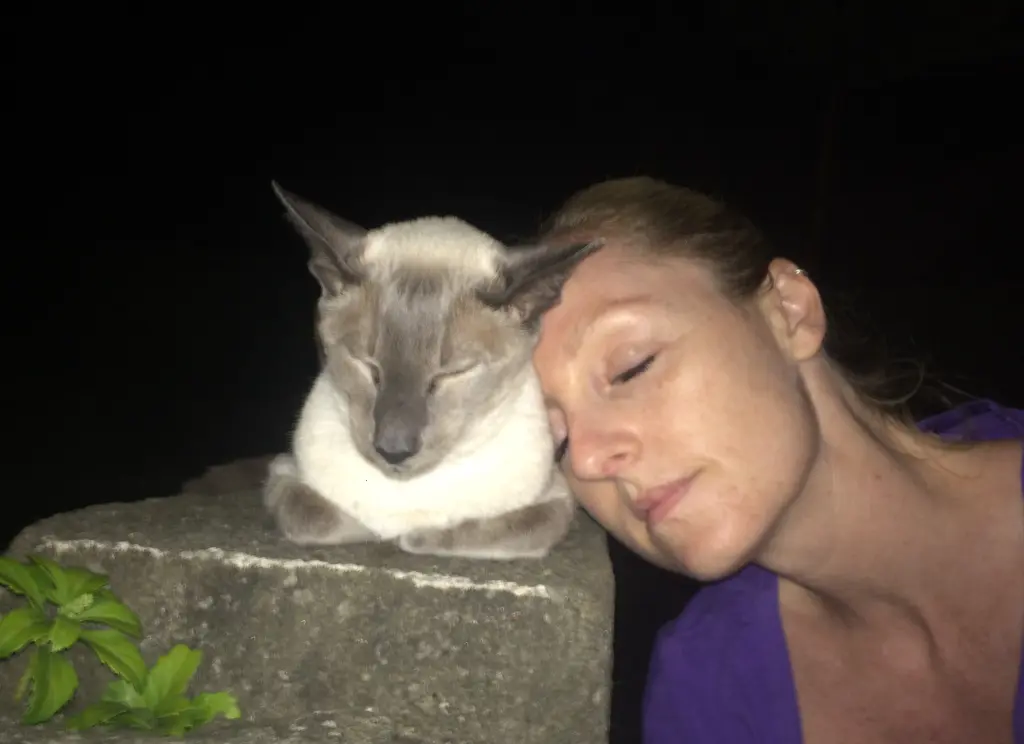 Image from Carinio