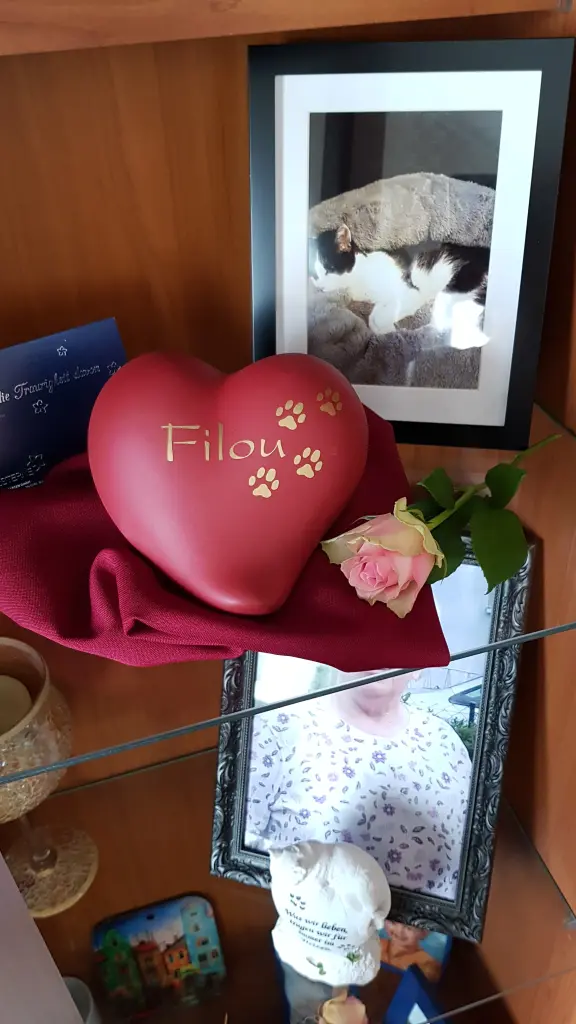 Image from Filou