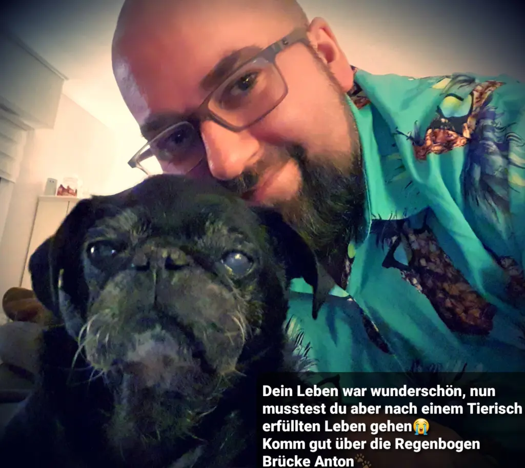 Image from Anton