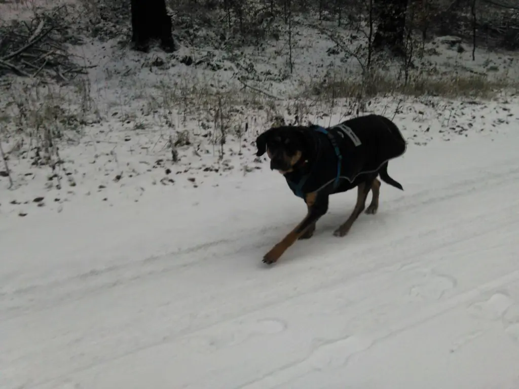 Image from Nicki