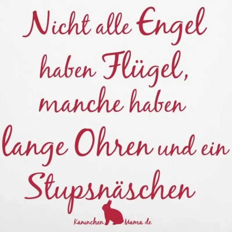 Condolence image of Katrin und Katzi im ❤️