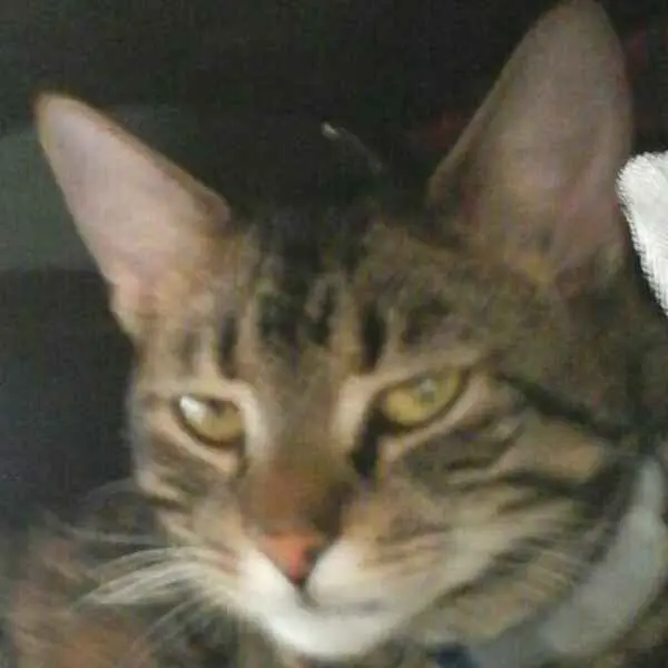 Condolence image of J. 