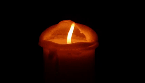 Condolence image of Frauchen