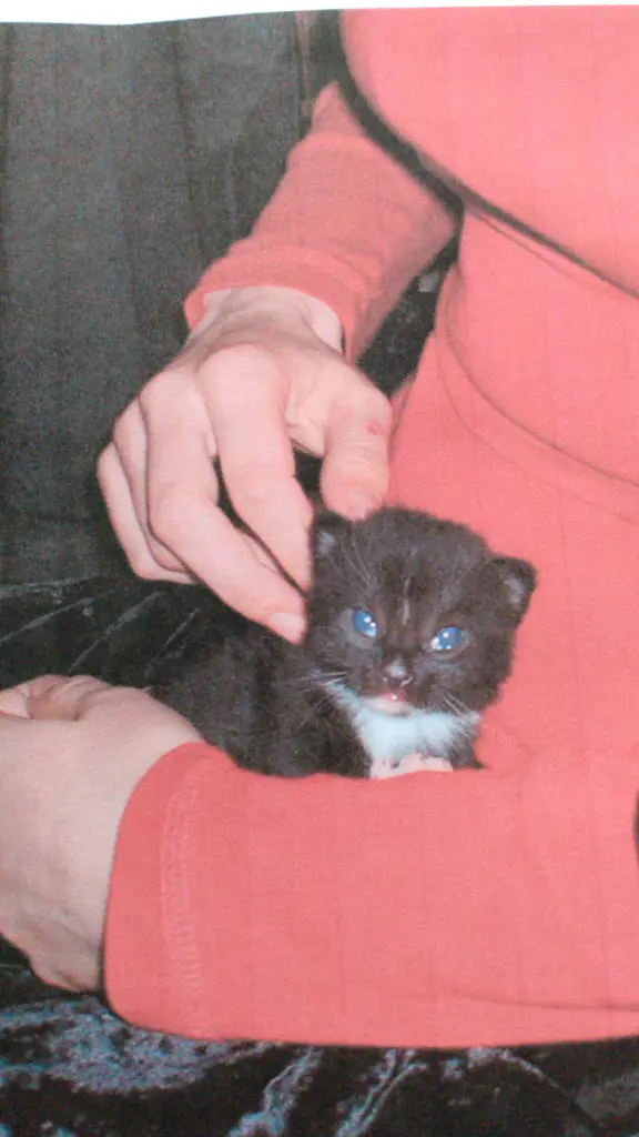 Image from Nero