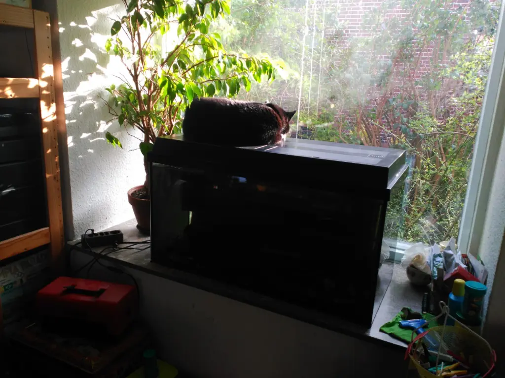 Image from Nero