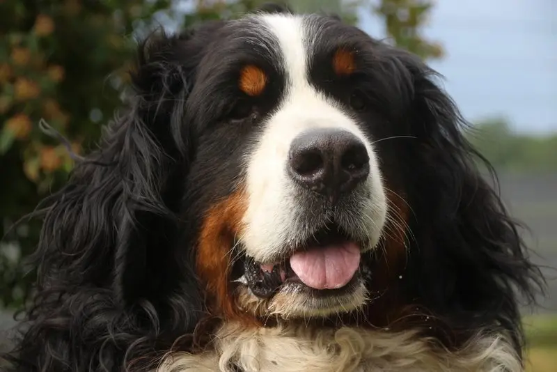 Image from "Theo"