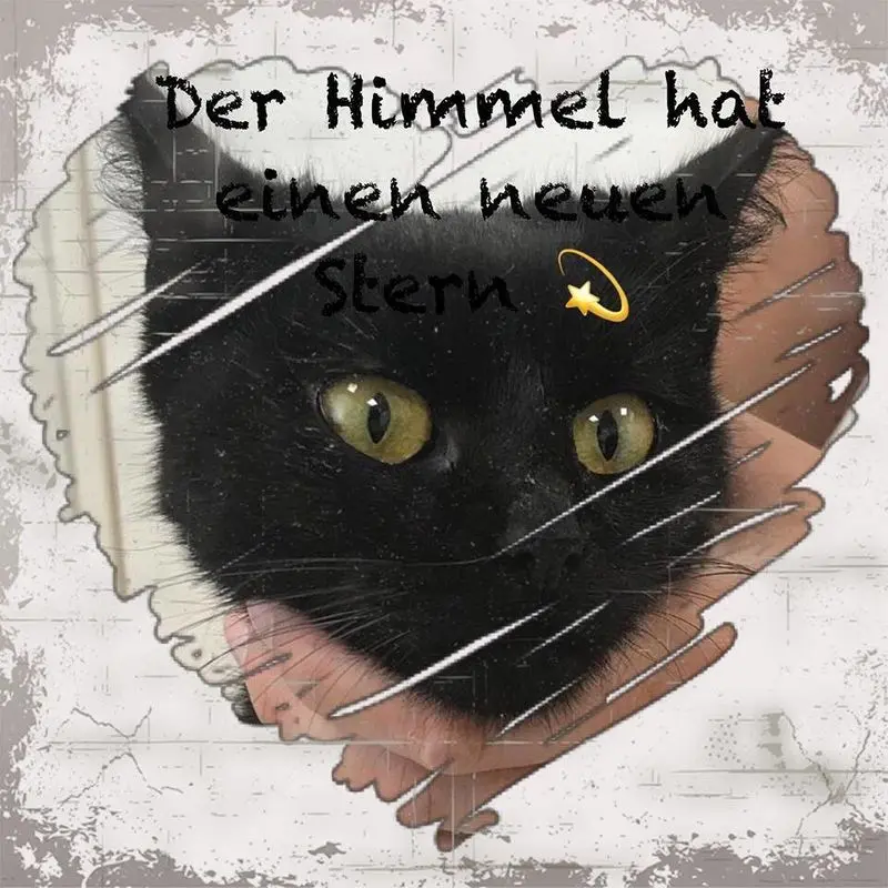 Andachtsbild von Katrin und Katzi im ❤️