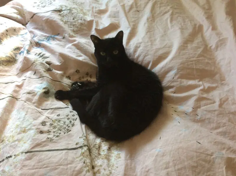 Andachtsbild von Hiromi mit Cana im Herzen