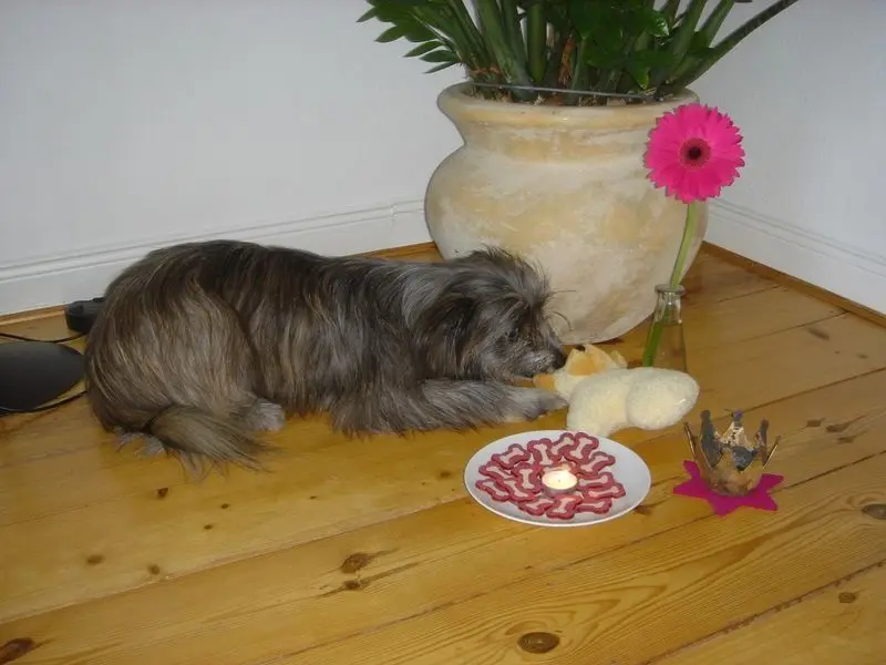 Condolence image of Andrea