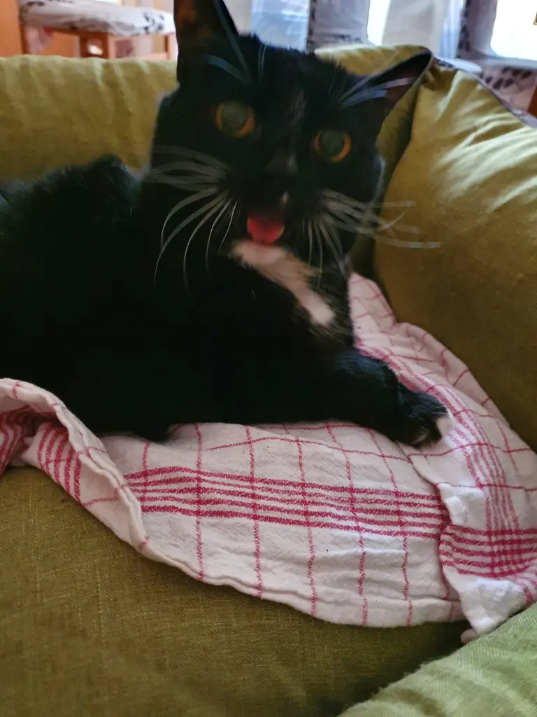 Image from Tapsi