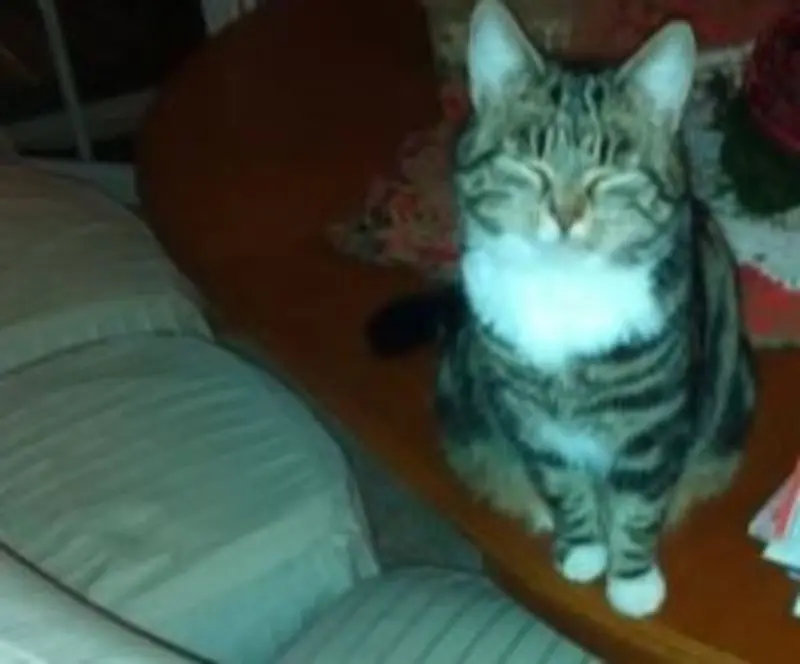 Condolence image of Birgit