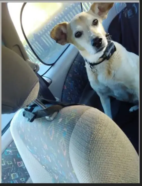 Condolence image of Birgit