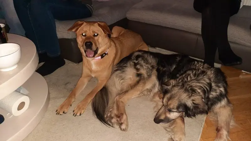 Andachtsbild von Monique Lembke