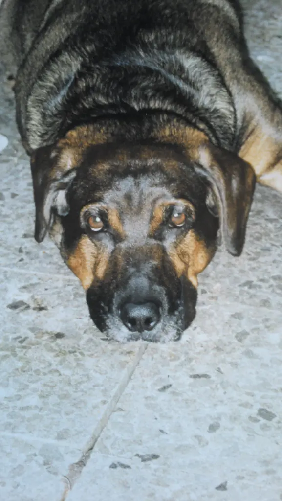 Image from Wotan 