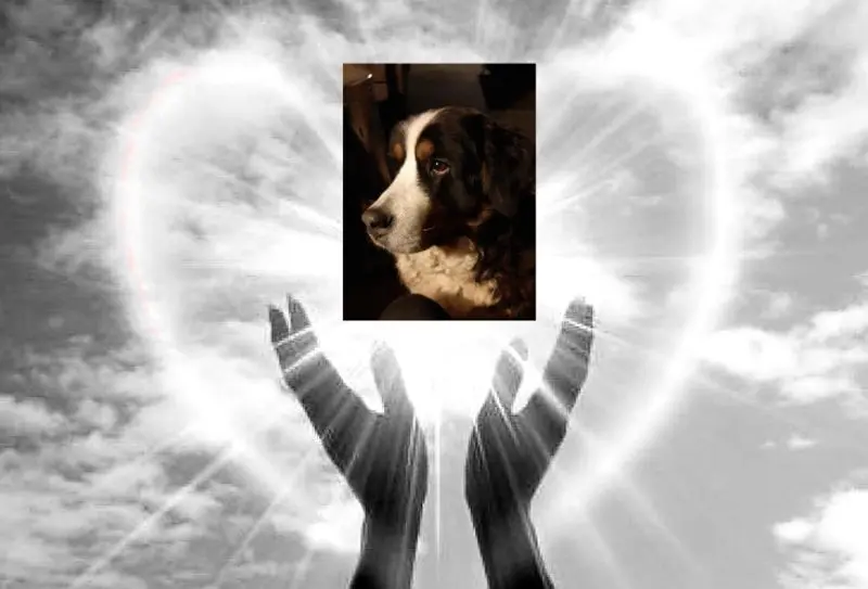 Condolence image of Marliese
