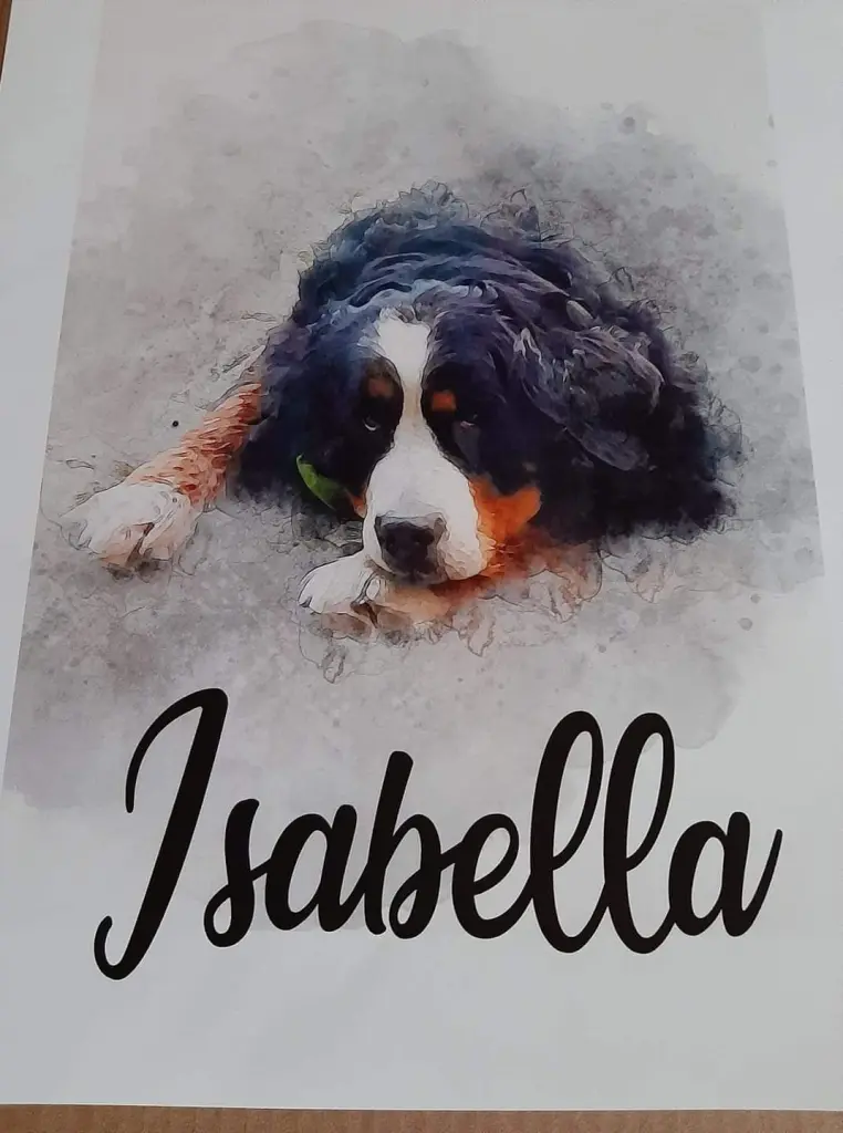 Image from Isabella