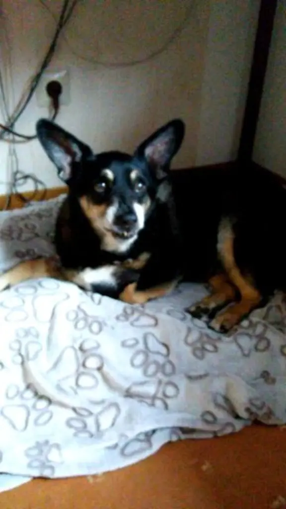 Condolence image of Sabine