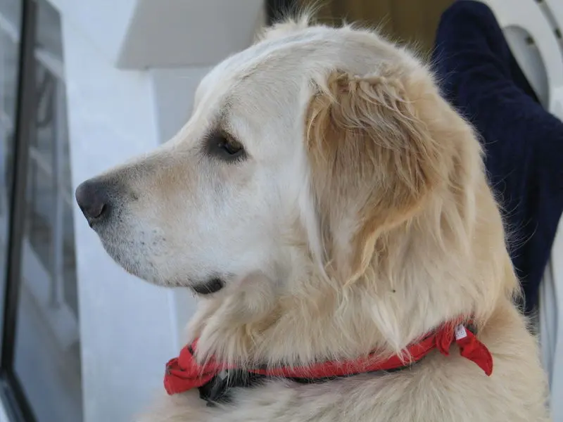 Condolence image of Tina