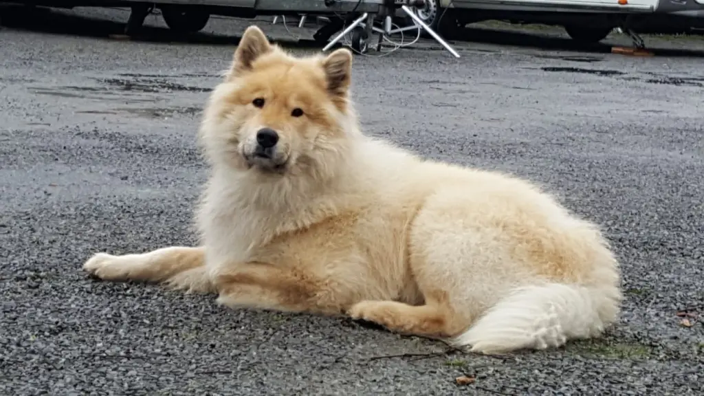 Image from Rusty