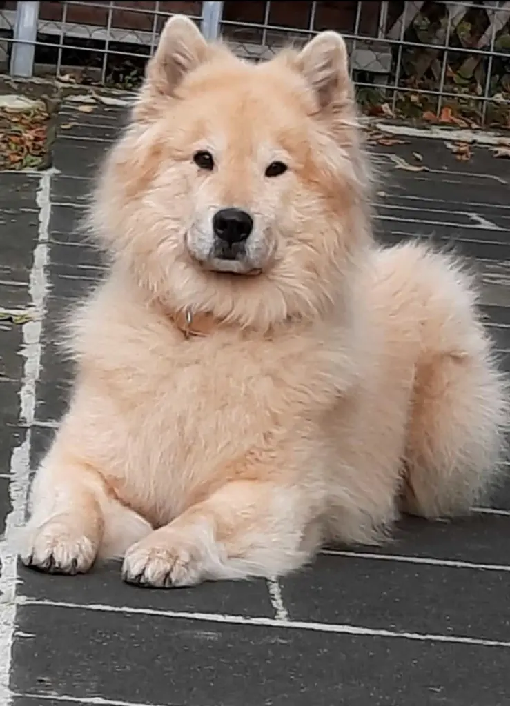 Image from Rusty