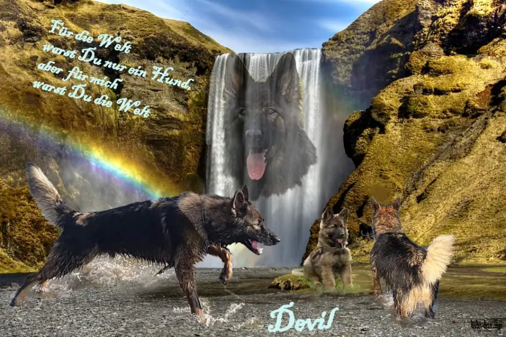 Image from Devil