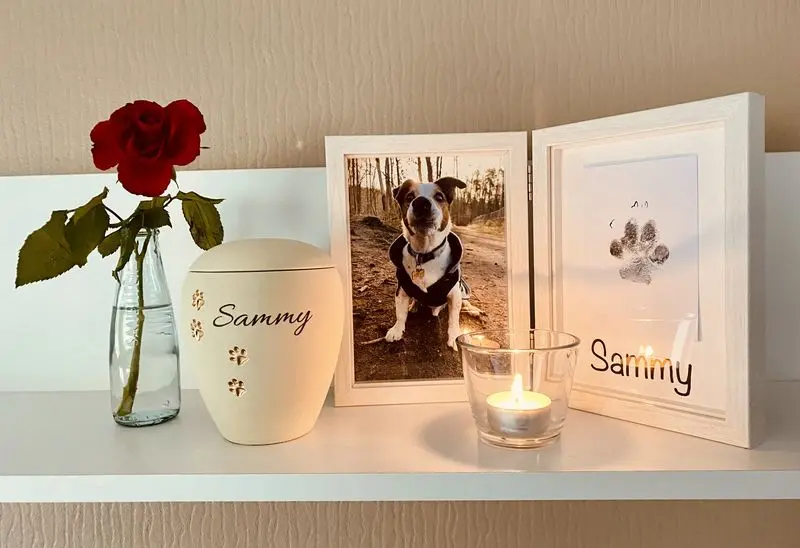 Condolence image of Heike mit Sammy
