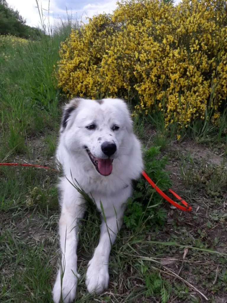 Condolence image of Angelika