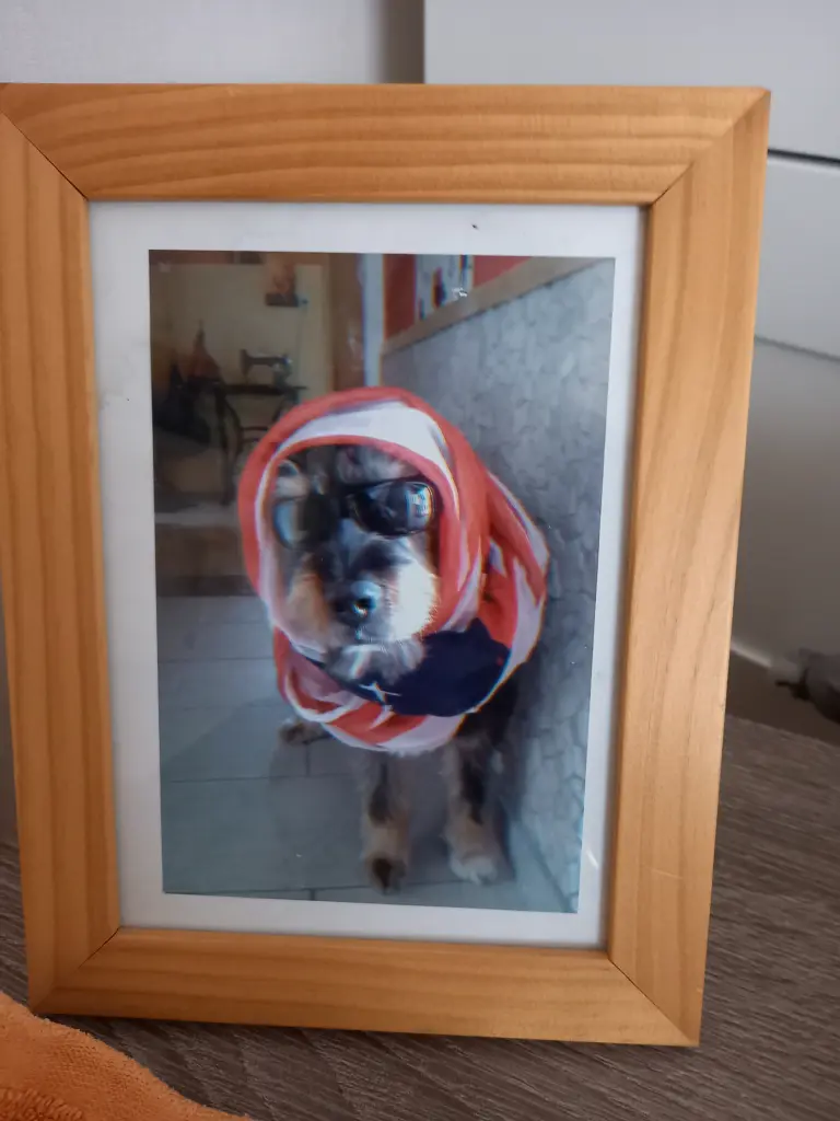 Image from Kolya vom Löwenzahn