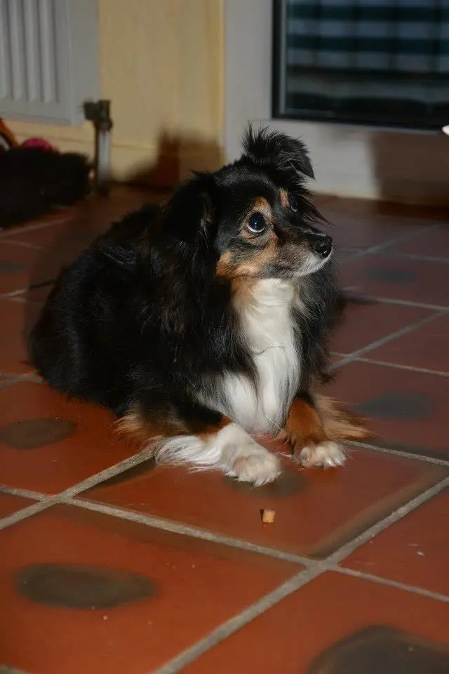 Condolence image of Nina