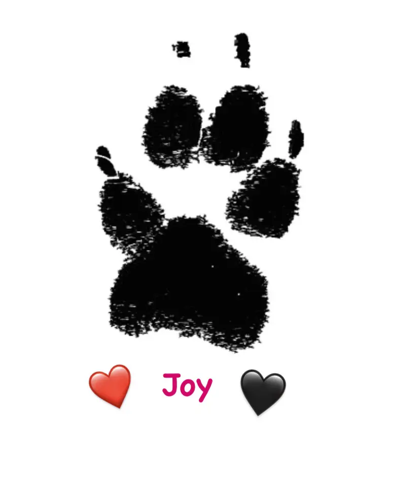 Image from Joy
