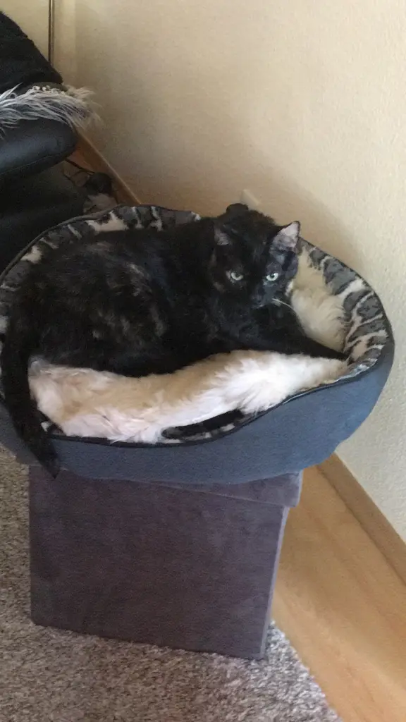 Image from Franzy