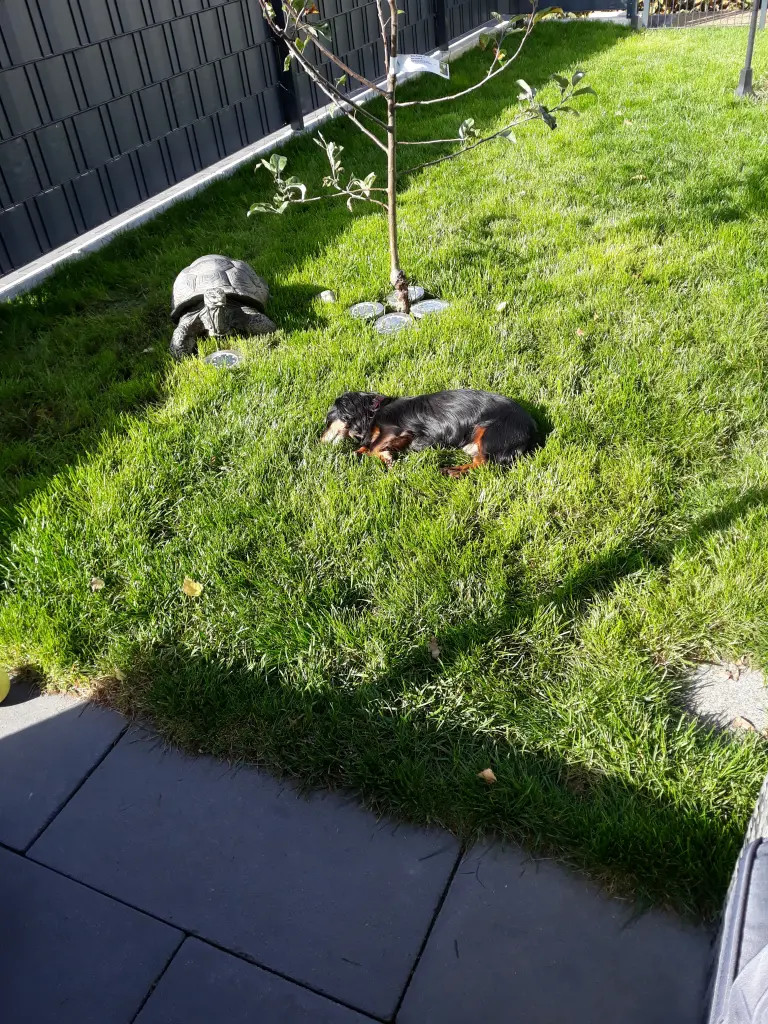 Image from KEYKO
