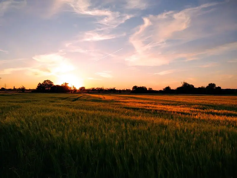 Andachtsbild von Erika