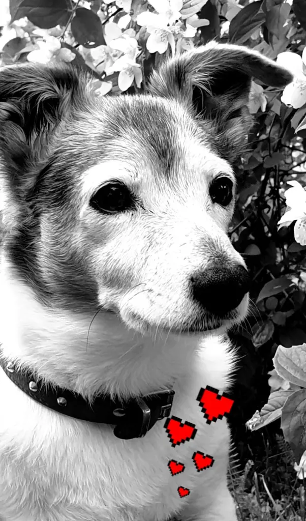 Andachtsbild von Kerstin