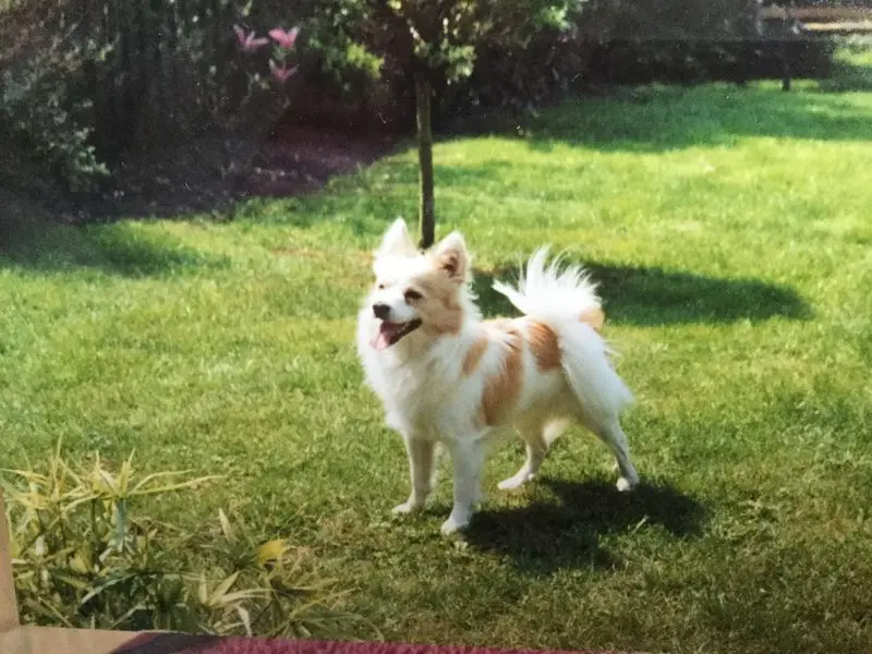 Andachtsbild von Gerda mit Moritz