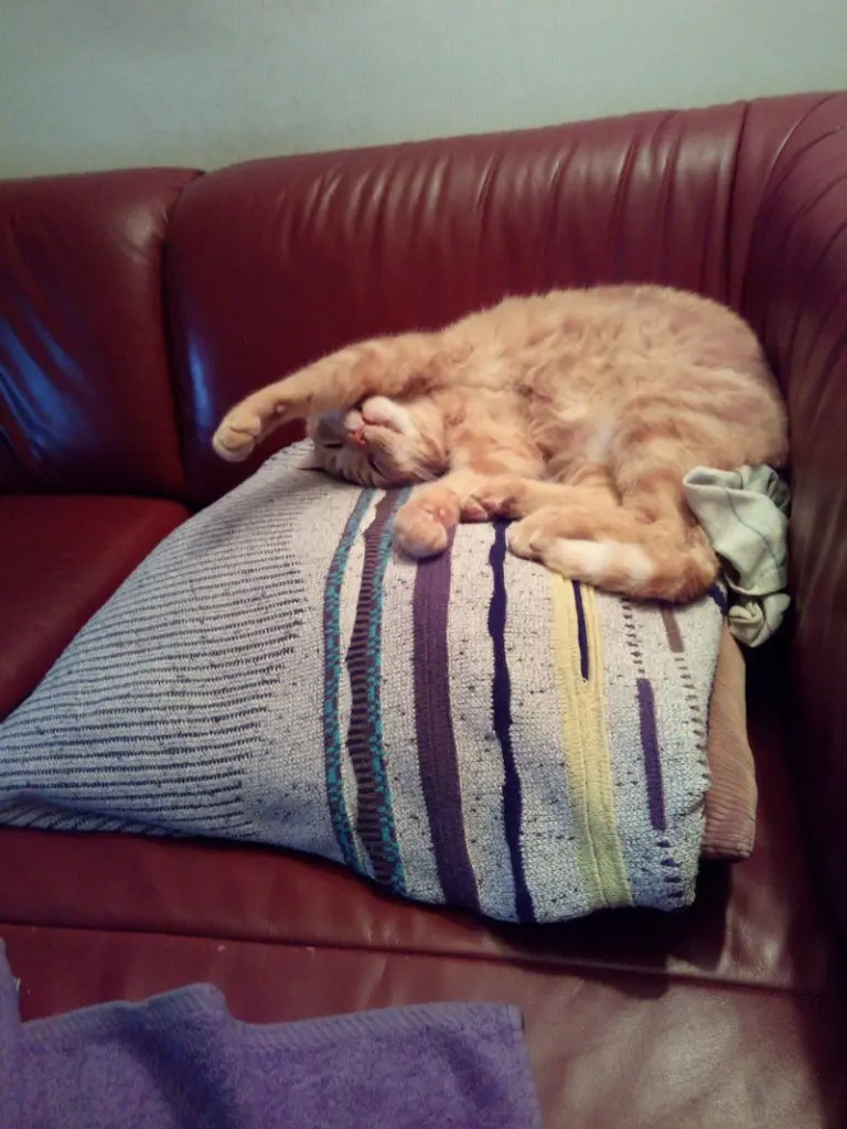 Andachtsbild von Volker