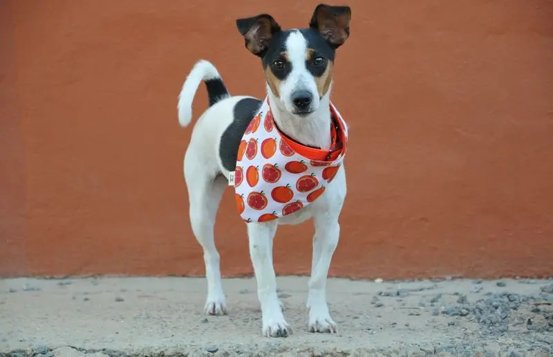 Andachtsbild von Elke