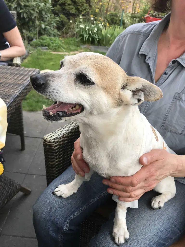 Andachtsbild von Elke