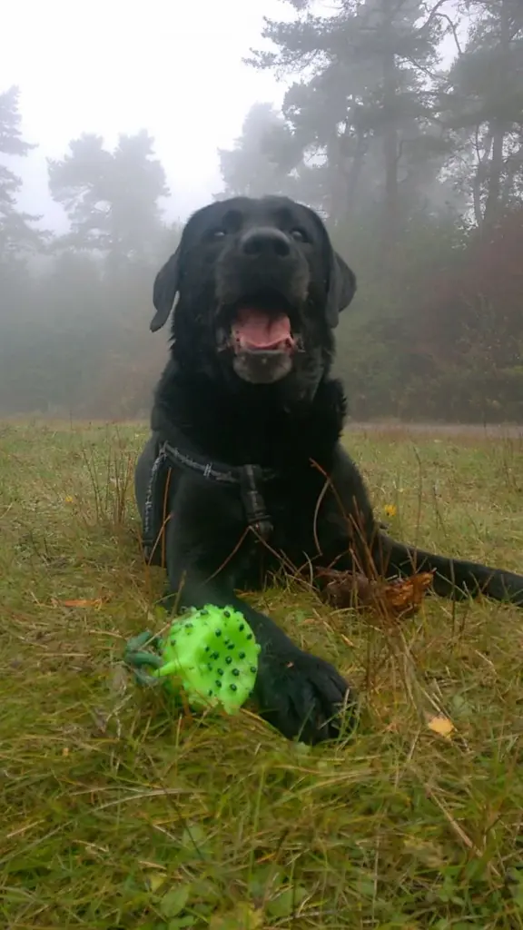 Andachtsbild von Susanne mit Carlos im Herzen und Aaron und Tina an meiner Seite