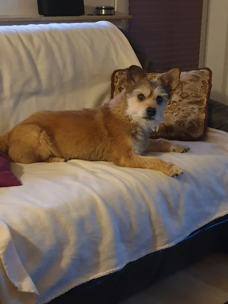 Andachtsbild von Benjamin