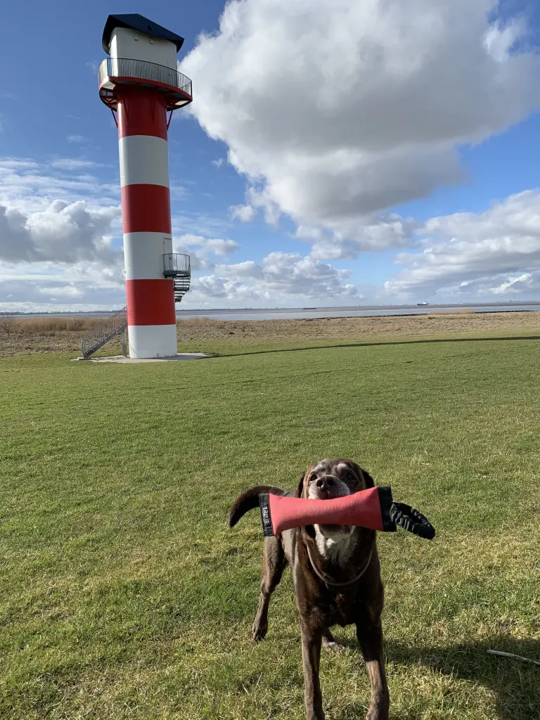 Image from Faro