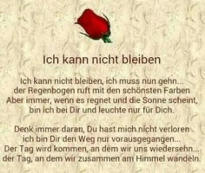 Condolence image of Katrin und Katzi im ❤️