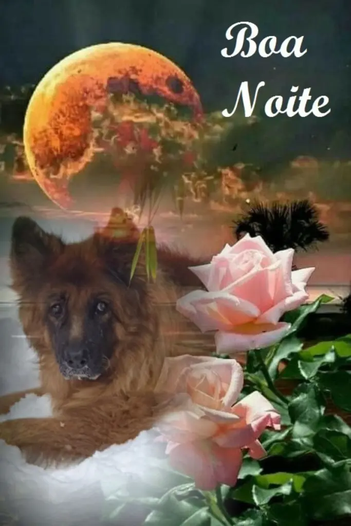 Condolence image of ❤️❤️❤️❤️❤️❤️❤️❤️❤️❤️❤️❤️❤️❤️