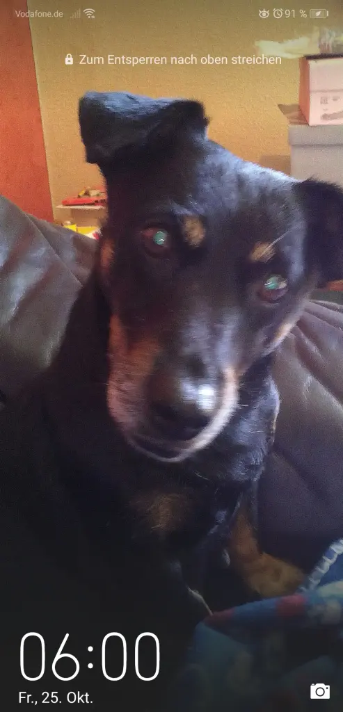 Image from Daisy