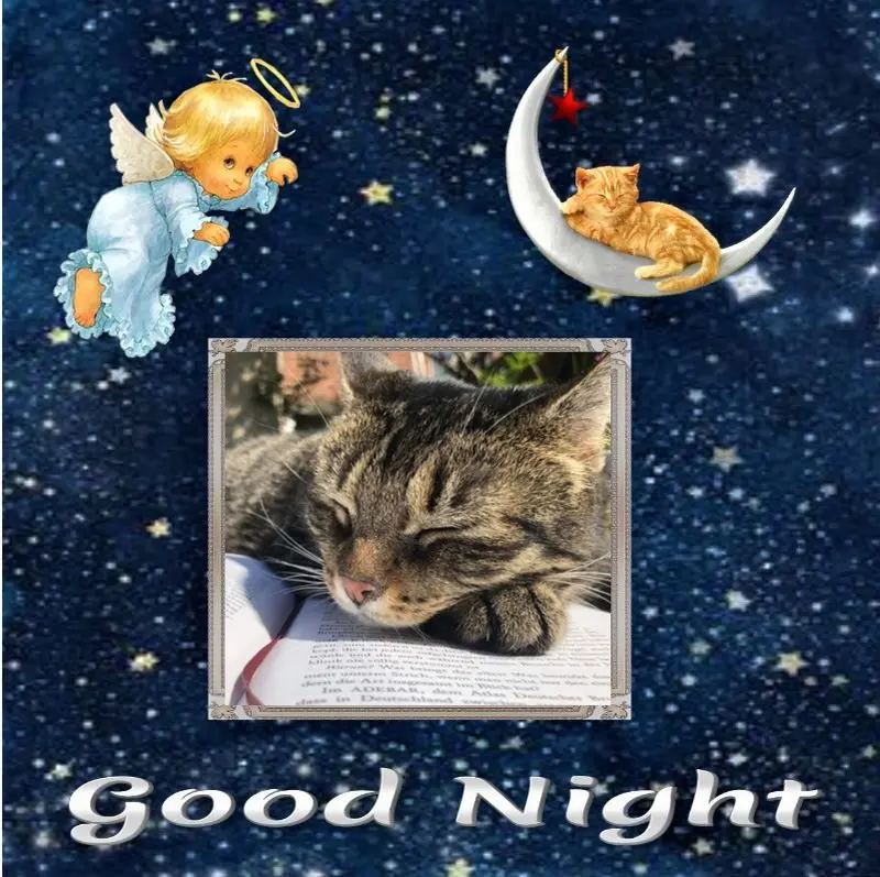 Andachtsbild von Gute Nacht❤️❤️❤️