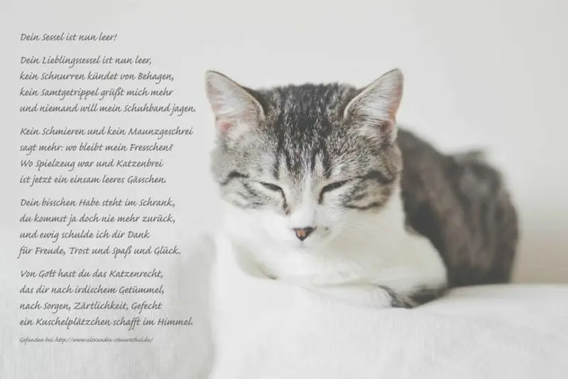 Andachtsbild von Andrea mit Minki im ❤ gest.19.10.2020