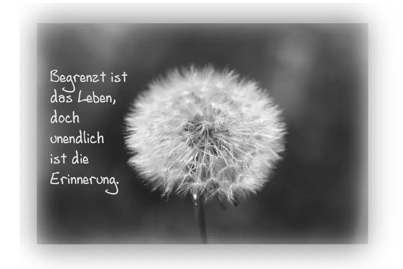 Condolence image of Unbekannt