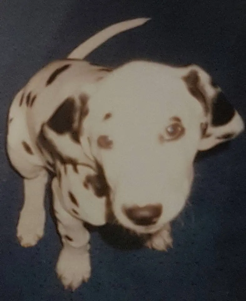Condolence image of Unbekannt